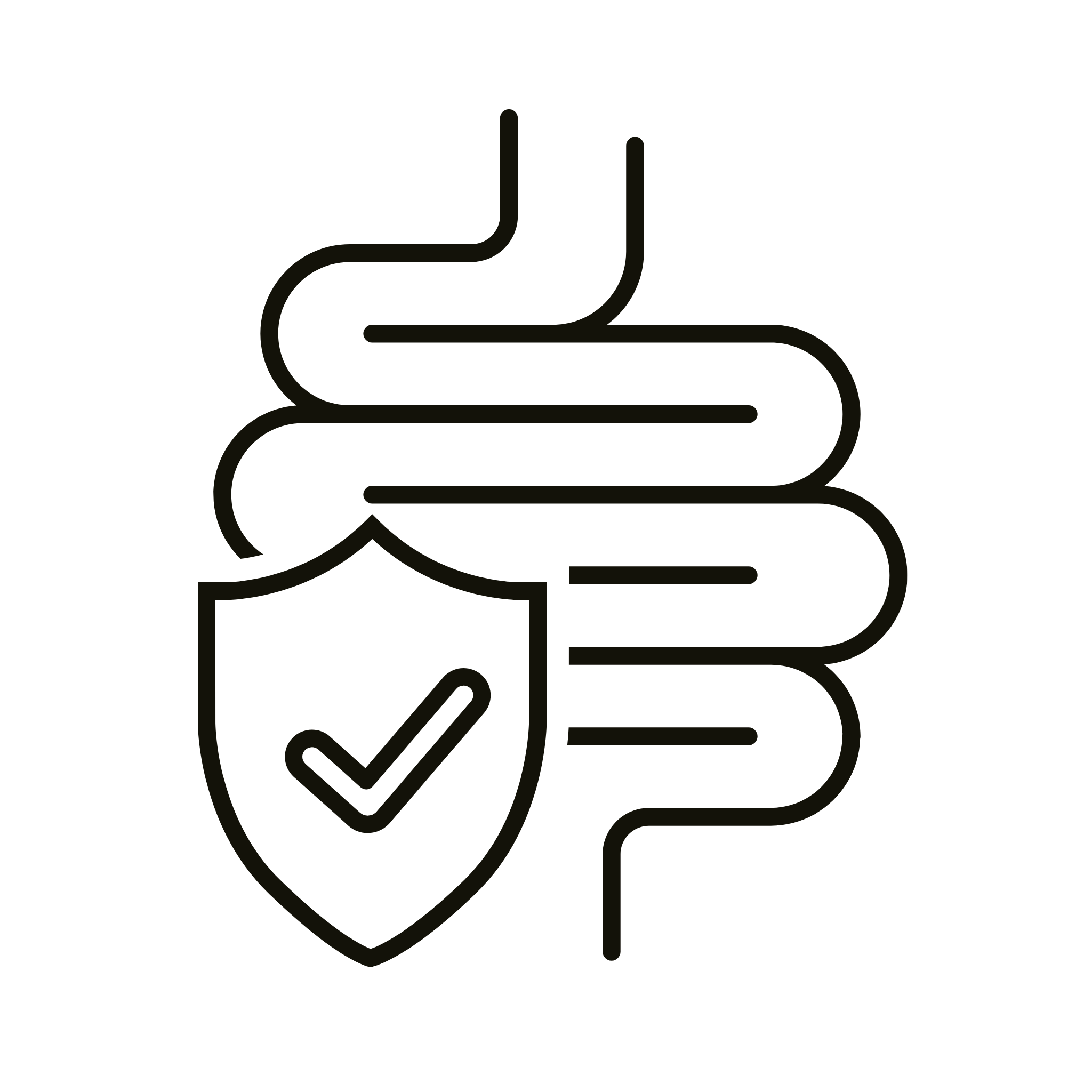An icon which show guts of a human being, with a sign of protection on the left hand corner. It is in black and white and the background is transparent